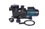 Electric 1.1 Kw Running Swimming Pool Water Pump 2Hp Single Stage