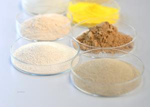 Wholesale Alcohol Fermentation Bio Enzymes For Wastewater Treatment Hydrolyze Polysaccharides from china suppliers