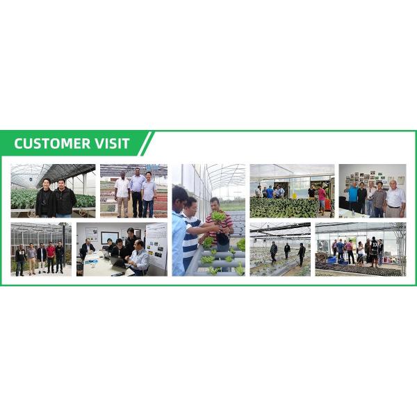 Polycarbonate Greenhouse Sheet with Customized Length and 9.6 Meter Tunnel Width