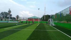 Wholesale Artificial Grass Carpet Disease Resistant Quartz Sand Infill from china suppliers