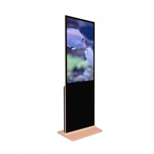 Wholesale LTI 43in Free Standing Kiosk 500 Nits Standalone Digital Signage from china suppliers
