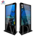 Thin Public 65" Outdoor LCD Digital Signage Kiosk Network Version