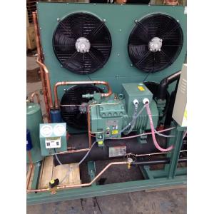 Air Cooled Refrigeration Condenser Unit For Cold Storage Room 3-40HP