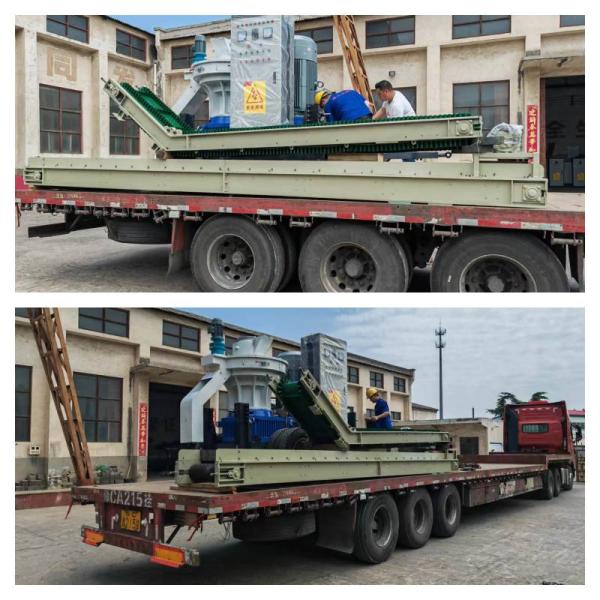 1~3t/H Ring Die Biomass Fuel Wood Pellet Mill With 8mm Pellets For Home Heating