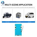 10A-80A Li-Ion Lifepo4 Battery BMS 6S 16S 17S 20S 24S Battery Management System