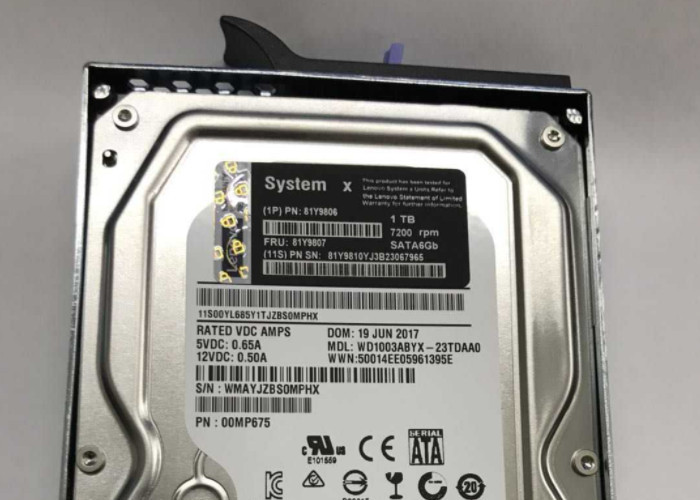 81Y9806 IBM Hard Disk 1T 7.2K SATA 3.5 Inch M4 81Y9808 Brand New Condition