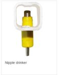 Automatic Square Pipe 22cm*22cm Nipple Drinkers For Broilers