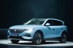 Luxury Energy Vehicles High Speed Mpv Dongfeng Voyah Free Pure Electric EV SUV
