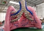 Flesh - Colored Blow Up Simulation Lung Model Organ Show Tent For Medical Study