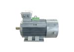 Brushless Permanent Magnet Generator , Water Turbine Wind Turbine Generator