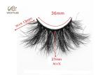 Fan Shaped Whole Strip Cotton Stalk 5D Volume Lashes