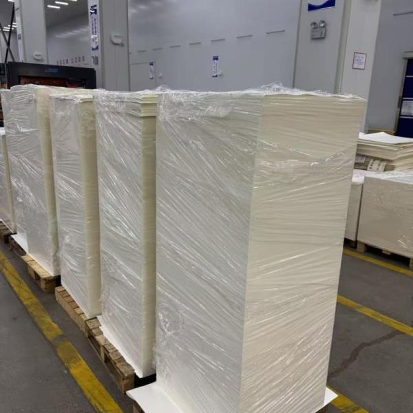 Greaseproof Heat Insulation Raw Material PLA Coated Paper Cup Paper Bowls Paper Boxes Paper Cup Sheet