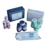 Customized Logo/Size Medical Cotton Sterile Gauze Bandage Wrap