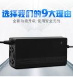 Little Dolphin Water Pump Lawn Mower Wheelchair Scooter Lead Acid Battery