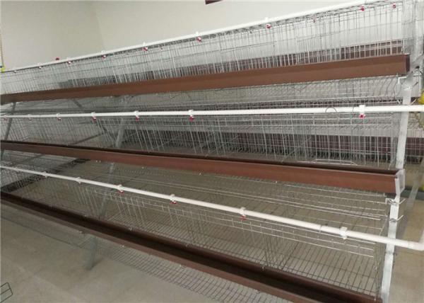 Electric Galvanized 128 Chickens Poultry Cage For Laying Hens , Battery Caged