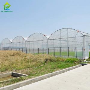 China Multi Span Hydroponic Tomato Plastic Greenhouse 150 Micron Plastic Film Covering on sale
