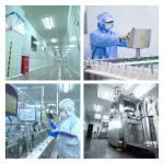 Supermarket Availability HALAL Certified Healthy Hard Candy in Customized Plum