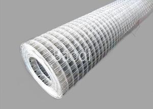 Wholesale Galvanised Welded Wire Mesh 25mm × 25mm, BWG21, 0.58m x 45m Roll from china suppliers
