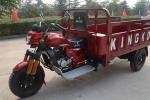 250cc Cargo Motor Tricycle 1.4x2.4m Electric Trike 5.00-12 Tyre Goods Shed