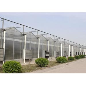 Wholesale Side Height 3-7m Large Polycarbonate Greenhouse With Ventilation System from china suppliers