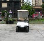 2 Seats Small Cargo Vehicle Electric Golf Cart With Stainless Steel Container