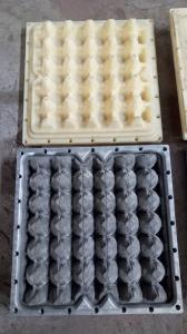 China Customizable Egg Carton Mold , Plastic Tray Mold EDM Service on sale