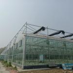 Modular Agricultural Greenhouse For Sale Dome Roof Cover Film Side Cover Multi