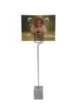 Lovely Metal Blank Picture Holder Clip Stand , Cute Metal Clip Photo Holder