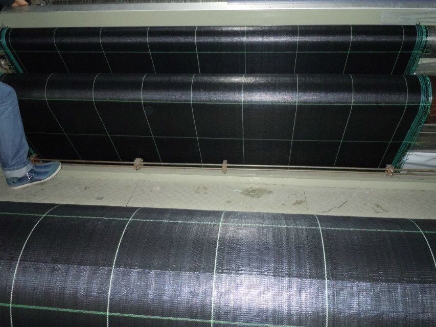 PP Black - Green Biodegradable Landscape Fabric For Stop Grass Growing