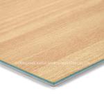 Wear Resistant Floor PVC Sheet Flooring Waterproof Indoor Recycled
