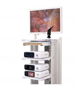 Wholesale Medical Imaging Equipment Laparoscopy 4K Endoscope Camera System DJSXJ-IIb from china suppliers
