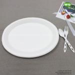 10/12 Inch biodegradable sugarcane Oval Plate-Wholesale Water-proof bagasse