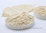 Light Yellow Dried Pure Gluten Powder NON GMO Protein for Food