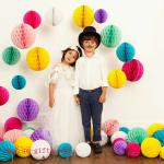 Party Wedding Decoration Paper Craft Tissue Paper Honeycomb Balls Pom Pom Flower