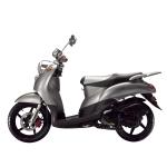 EEC DOT EPA 50cc Gas 2-stroke 4-stroke single-cylinder air-cooled Scooter Large