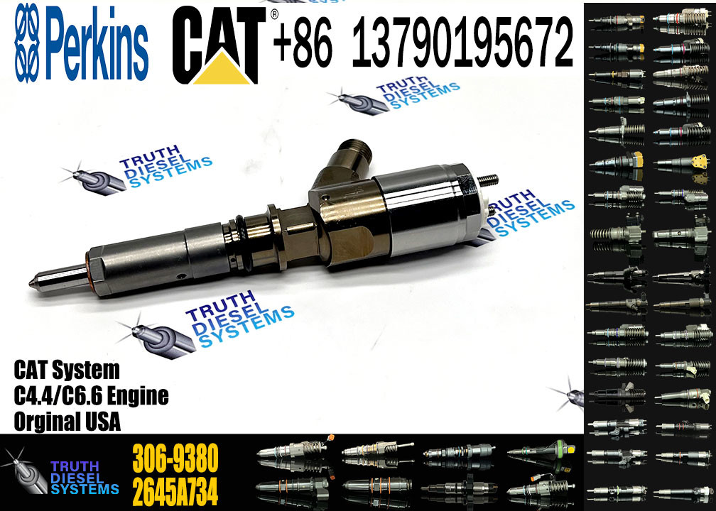 Fuel Injector 320-0677 320-0690 320-0680 2645A709 295-9130 306-9380 306-9390 310-9067 For CAT