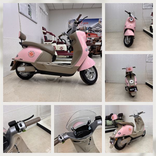 High Appearance Two Wheeled Electric Moped Comfortable Seat Women's Exclusive e trikes for seniors