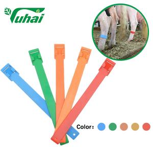 Wholesale EVA Livestock Bands Colorful Legband Poly Urethane For Cow Horse Cattle Sheep from china suppliers