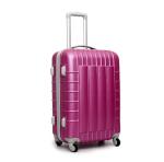 ABS travel trolley cases