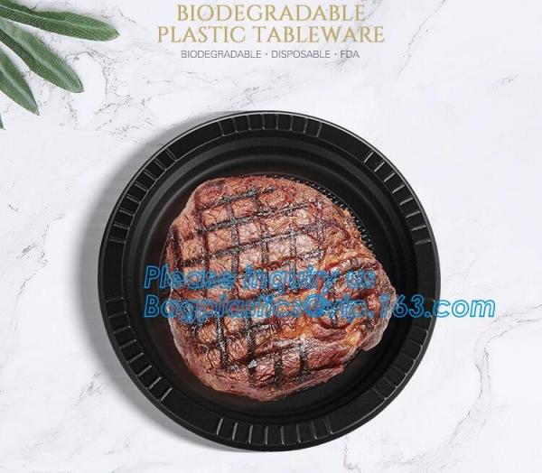 Online Shopping 10 Inch Biodegradable Disposable Sugarcane Bagasse Party Plate
