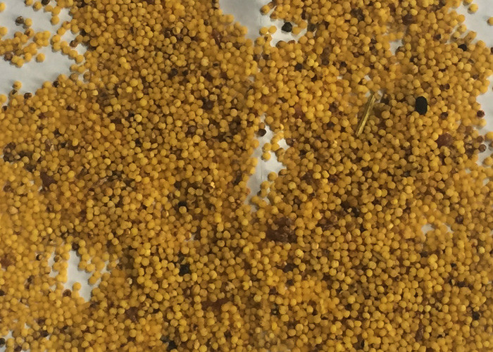 Multifunctional Unique Colour Sorter Rice Machine Eight Channels