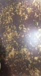 Bronze Sheet Metal Stainless Steel Antique Surface For Artware Decoration