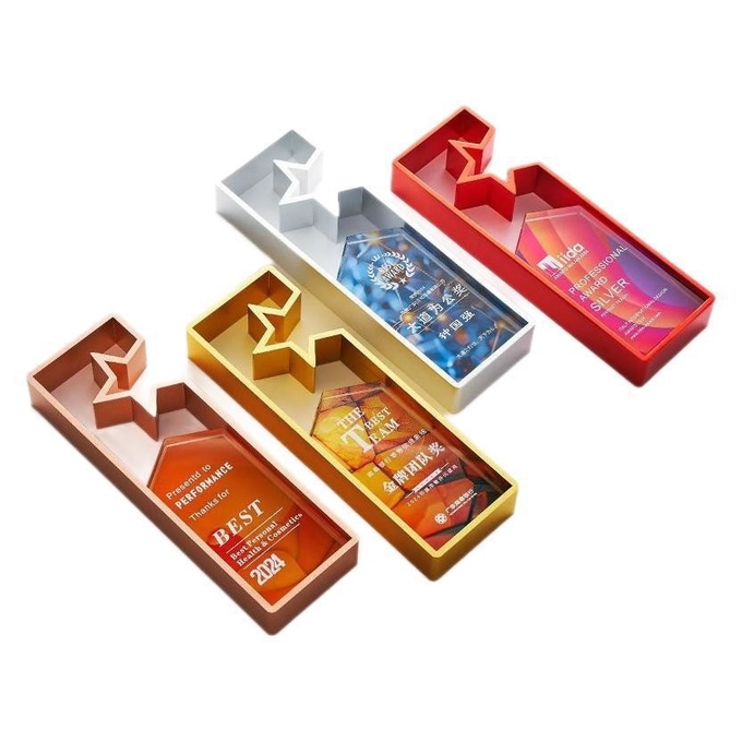 Custom Shape Acrylic Trophy Award Plaque Authorization for Company Annual Conference and Employee Prize