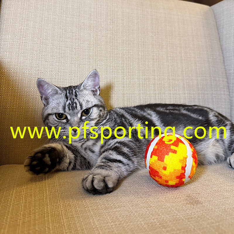 Custom logo 2.5" Diameter Eco-Friendly Rubber Pet Tennis Balls For Dogs Exercise Training Balls Throwing Balls