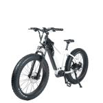750W 1000W High Power Electric Mountain Bike with Full Suspension and Hydraulic