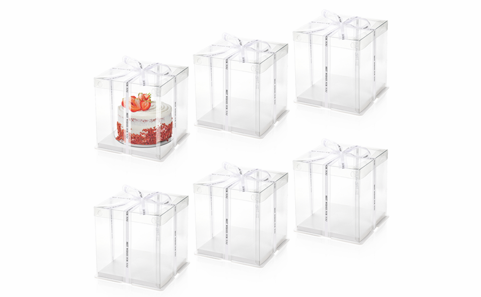 Clear Cake Box