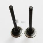 Diesel Excavator Machinery Engine Parts A2300 Intake Valve 4900337