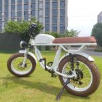 Rear Hub Motor Electric Bike for Fat Tire Chopper E Bike OEM Electric Motorcycle