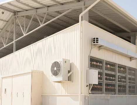 Weather-Resistant Hot-Dip Galvanized Steel Structure Building with Modular Design and 20+ Years Lifespan for Poultry Farm Shed