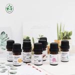100% Pure Natural OEM Essential Oil Organic Geranium Essential Oil 10ml